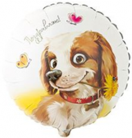 Фигура 18" Круг Поздравляю Собака с цветком 1202-3251 - Многошароff: товары для праздника и воздушные шары оптом