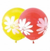 Воздушные шары с рисунком 18" пастель Ромашки И - Многошароff: товары для праздника и воздушные шары оптом