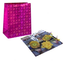 Подарочные сумки - Многошароff: товары для праздника и воздушные шары оптом