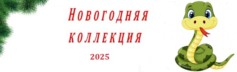   2025 